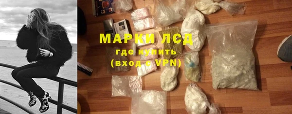 твердый Бердск