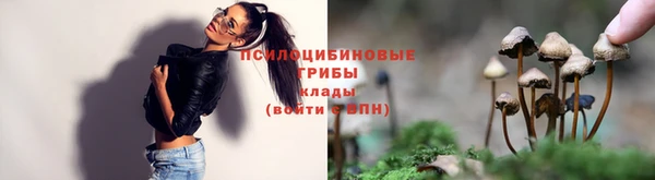 кокс Корсаков